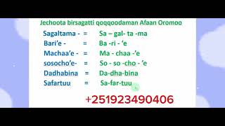 Afaan Oromoo Jechoota birsagatti qoqqoodaman Afaan Oromoo study Afaan OromooAmharic English lette [upl. by Avert492]