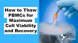 How to Thaw PBMCs for Maximum Cell Viability and Recovery [upl. by Emmi]