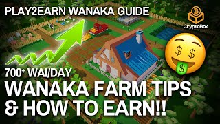 HOW TO EARN 700 WAI TOKEN WANAKA TIPS amp TRICKS amp PLAY TO EARN GUIDE  NEW WANAKA GAME UPDATES [upl. by Apur]