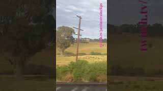 VLINE Southern Cross To Albury NSW 121124 victoria shorts shortvideo train travel views [upl. by Candra]