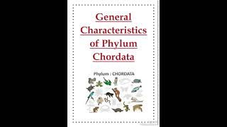 General characteristics of phylum Chordata ll Zoology [upl. by Attenaj750]