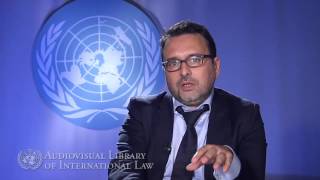 Vicent Chetail on the Principle of Nonrefoulement in International Law [upl. by Aissyla609]