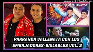 LOS EMBAJADORES DEL VALLENATO EN VERSION PARRANDA VOL 2  OMR [upl. by Tallie]