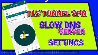 How to setup TLS tunnel vpn slow DNS server settings for Secure browsing [upl. by Hsakaa553]