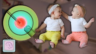 How To Have Twins Get the Truth from a Fertility Expert [upl. by Juni]