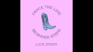 Learn How To Line Dance Beginners Steps Lock Steps [upl. by Jennine]