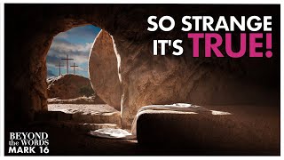 6 Strange Moments that Prove the Resurrection MUST Be True  Mark 16  Beyond the Words [upl. by Naugan]