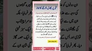 Qabar mein phool dalny ka jawaz islamicvideo urdu urduquotes [upl. by Rosena]