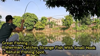 Great Fishing  Fisherman Catches Strange Fish With Small Hook  Natural Fishing Spot [upl. by Anirpas]