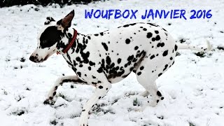 Woufbox Janvier 2016 [upl. by Ativel706]