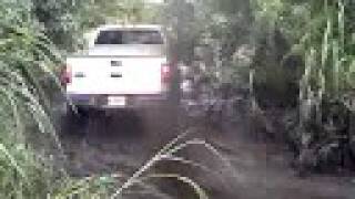 2wd lifted F150 in the mud trails [upl. by Willi404]