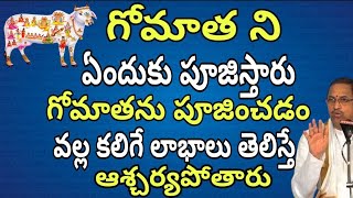 Benefits of Gomatha pooja Blessings of Gomata worship Chaganti koteswara rao speeches on Gomata [upl. by Crespi121]