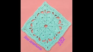 Sea anemone square pattern  one crochet stitch a day [upl. by Ano]