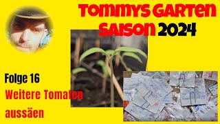 Tommys Garten 2024  Folge 16 Weitere Tomaten aussäen [upl. by Trebo573]