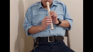 Doe a deer a female deer Plastic vs wooden recorder comparison [upl. by Rockafellow]