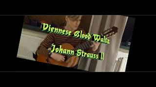 Viennese Blood Waltz  Johann Strauss ll [upl. by Docilla453]