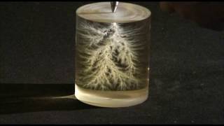 Lichtenberg figures in plexiglass [upl. by Lissie310]