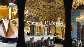 Cafes in Vienna hits amp misses and the most beautiful cafe in the world [upl. by Mignonne]