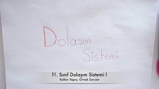 11 Sınıf  Dolaşım Sistemi  1 [upl. by Stauffer680]