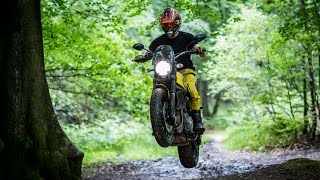 Dart Flyscreens  Ducati Scrambler Off roading [upl. by Aikym]