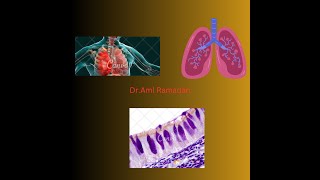 Trachea Bronchi and Bronchioles [upl. by Otsirc]