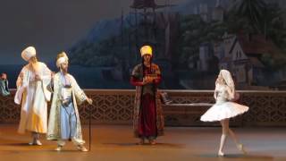 08 06 2014 Anna Tikhomirova as Gulnare in Le Corsaire Act 3 [upl. by Oicnerual]