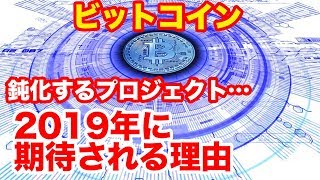 2019年ビットコインは伸びる確かな理由と今後の価格予想bitcoinの買い時はいつPwC、バイナンスはBTC高騰予測2018年12月1月仮想通貨最新ニュース！最前線暗号通貨最新情報 [upl. by Gareri554]