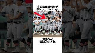 青森山田の育成システムが近未来の高校野球を変えるって本当？甲子園 野球 読売ジャイアンツ 青森山田 [upl. by Alit]