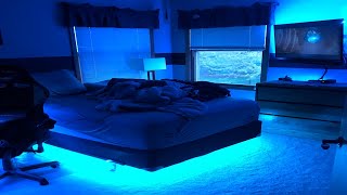 BEDROOM RGB LED Light Strips  Airgoo DreamColor LED Strip [upl. by Philan]