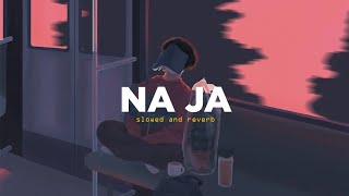 Na Ja slowed and reverb  Pav Dharia  Nexus Music [upl. by Yelsew]