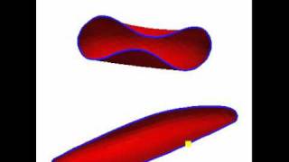 crosssections of tumbling and tanktreading red blood cells [upl. by Oznecniv]