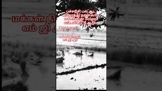 பச்சரிசி  T M S Legend  M G R  Whatsapp Status [upl. by Neeruam]