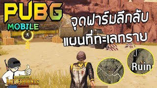 PUBG Mobile จุดฟาร์มลึกลับแผนที่ทะเลทราย Miramar [upl. by Oicirbaf]