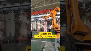 Building materials palletizing brick robot machine robotics factory [upl. by Corley]