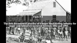 Blackbirding Top  6 Facts [upl. by Aikemit]