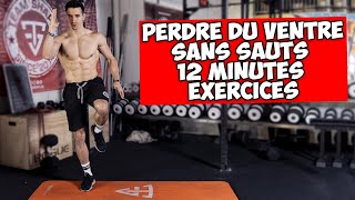 12 min dexercice pour perdre du ventre sans aucun saut [upl. by Olympias610]