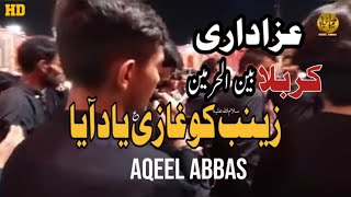 Zainab sa Ko Ghazi Yaad Aaya  Noha Bibi Zainab sa  Aqeel Abbas  Arbaeen 2024 [upl. by Otreblig]