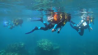 Local Communities Restore Hawaii Coral Reefs [upl. by Vasili465]