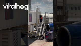 Baggage Handlers Get Rough With Luggage  ViralHog [upl. by Tinor648]