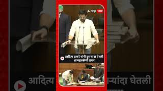 Aaditya Thackeray Oath As MLA  आदित्य ठाकरे यांनी दुसऱ्यांदा घेतली आमदारकीची शपथ [upl. by Frederique]