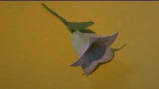 How to Make an Origami Balloon Flower [upl. by Ahsinahs]