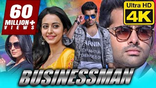 Businessman  बिजनेसमैन 4K ULTRA HD Superhit Full Movie  Ram Pothineni Rakul Preet Singh [upl. by Ebba]