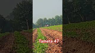 Tameta 47 [upl. by Henig]