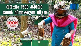 ഇത്രയ്ക്കും എളുപ്പമായിരുന്നോ തേനീച്ച കൃഷി  Success Story of Honey Bee Farming  Beekeeping Tips [upl. by Wein192]