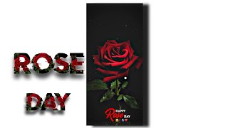 🌹rose day special status🥀🌿💕4k full screen status💌🥰 couples status video 🌹👨‍❤️‍💋‍👨😍 [upl. by Dry385]