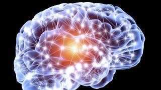 La neurogénèse  le développement du cerveau de A à Z [upl. by Bowen396]