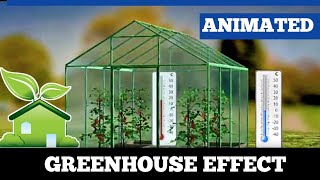 The Greenhouse Effect A Visual Guide [upl. by Leoni]