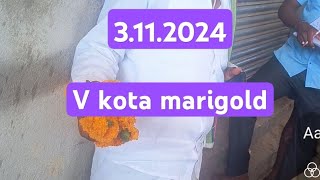 v kota flowers rose 3112024 video food viralvideo trending flowers marigold vkota fyp [upl. by Aniram]