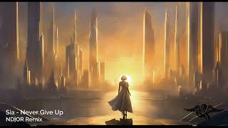 Sia  Never Give Up  Remix NDOR [upl. by Alves]