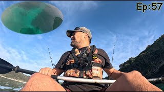 Fishing the Picturesque Matauri Bay area an amazing day Ep57 [upl. by Haland]